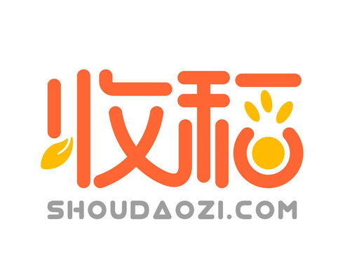 收稻網絡科技 立足上海，引領計算機軟硬件技術開發新篇章